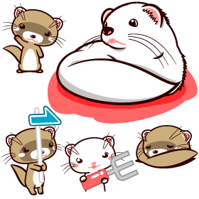 フェレットのイラスト