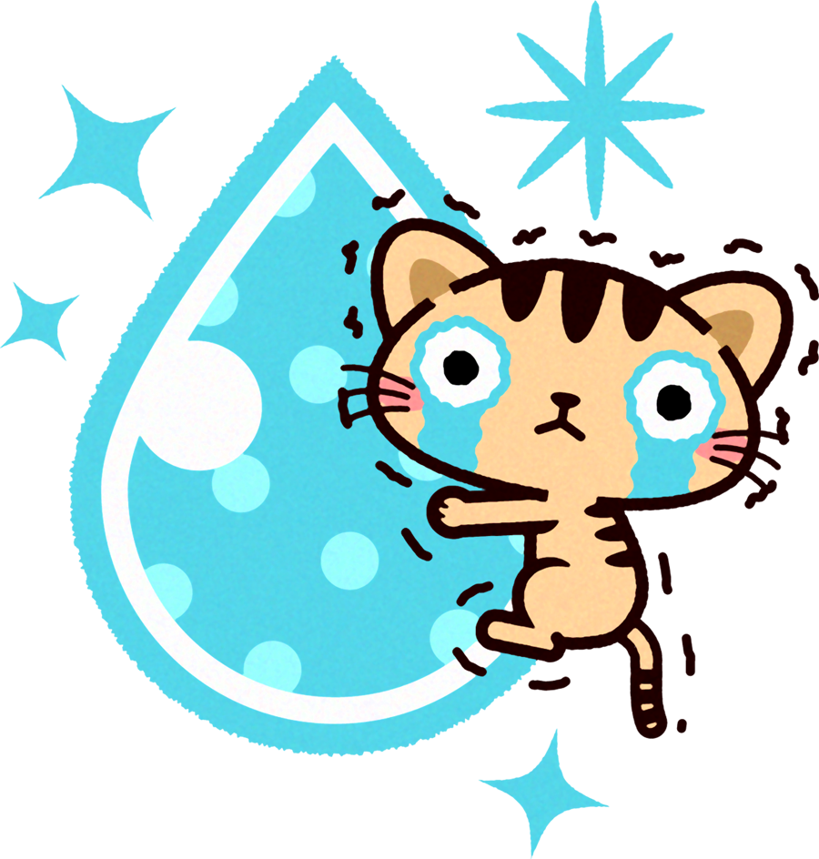 猫イラスト/涙