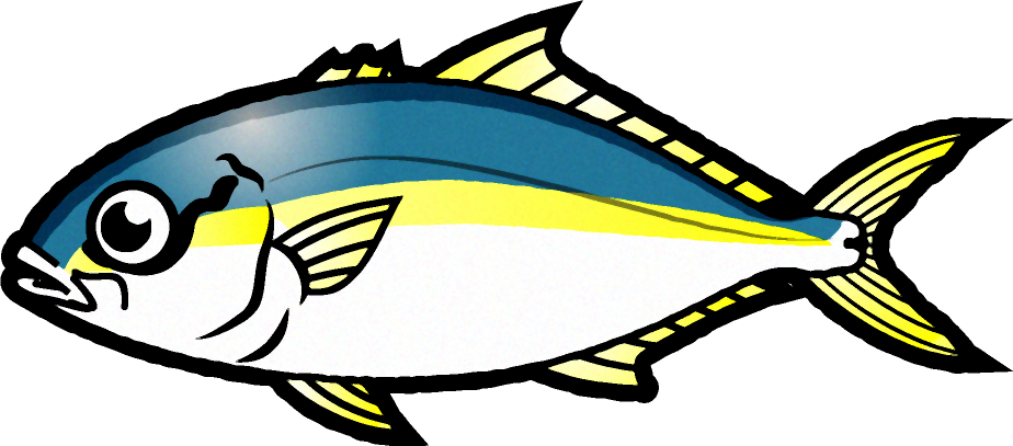 ツムブリのイラスト