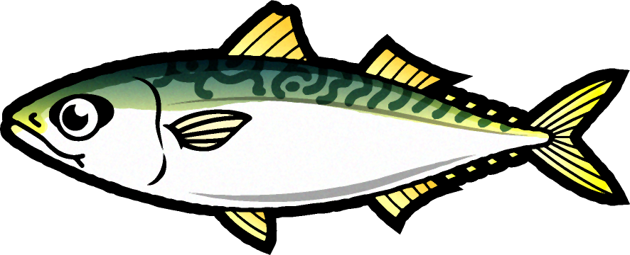 マサバのイラスト