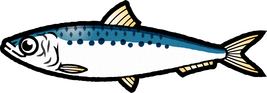 マイワシのイラスト