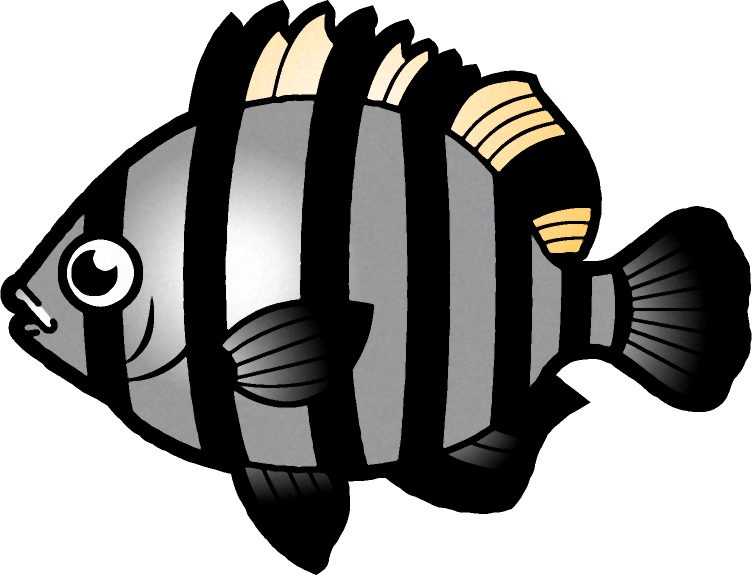 イシダイのイラスト