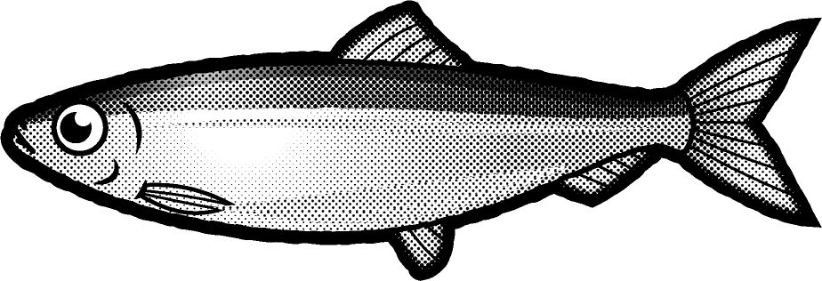 ニシンのイラスト/モノクロ