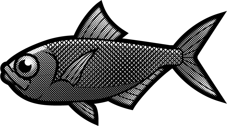 キンメダイのイラスト/モノクロ