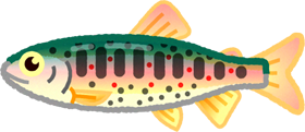 アマゴのイラスト