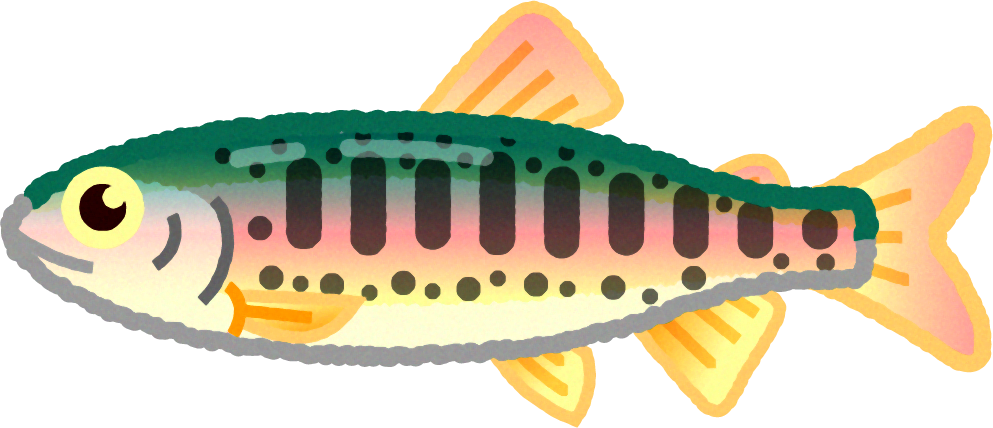 ヤマメのイラスト