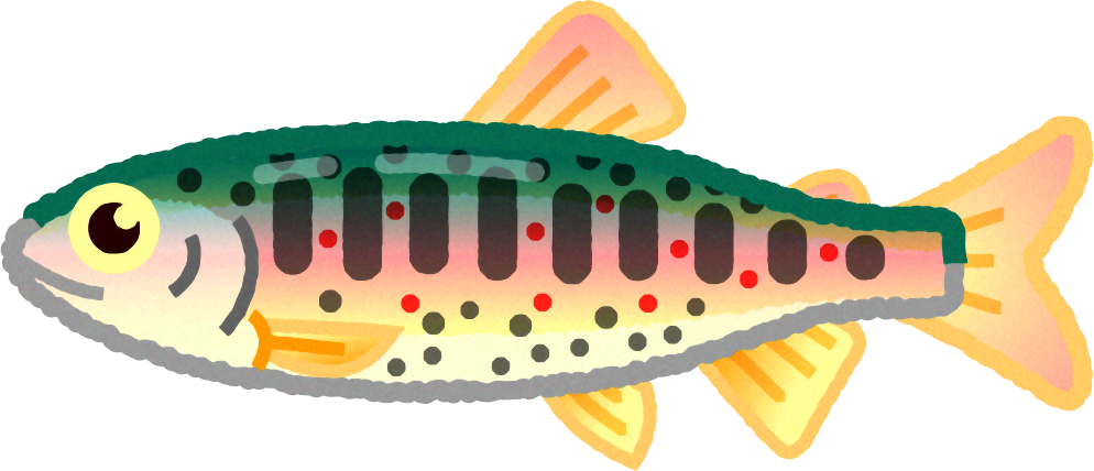 アマゴのイラスト