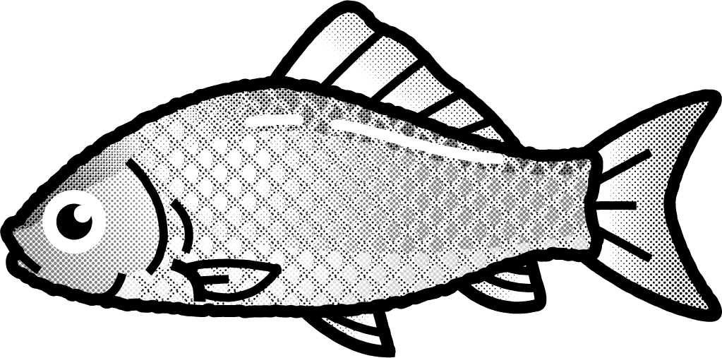 ギンブナのイラスト/モノクロ