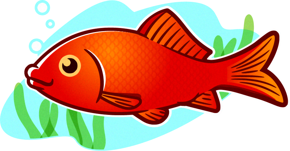 金魚イラスト