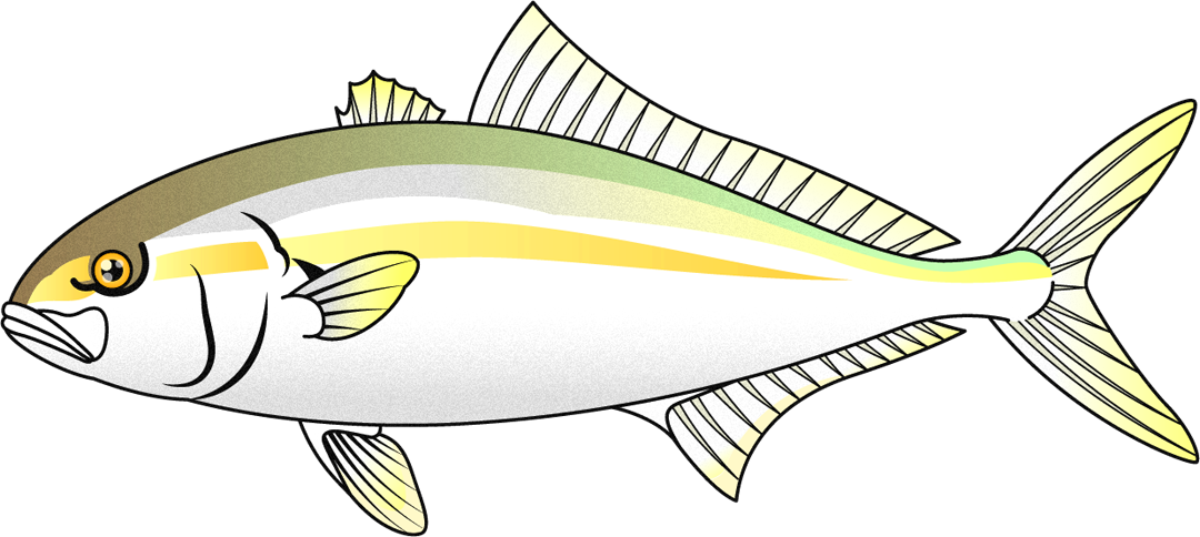 環八イラスト