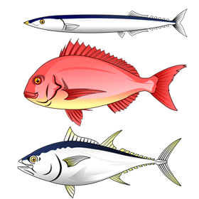 海の魚イラスト