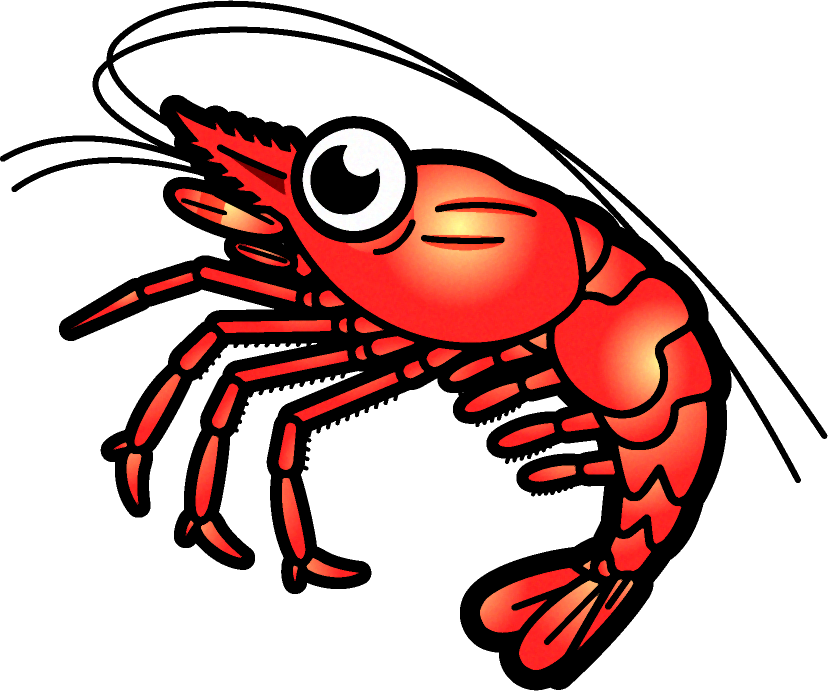 海老イラスト
