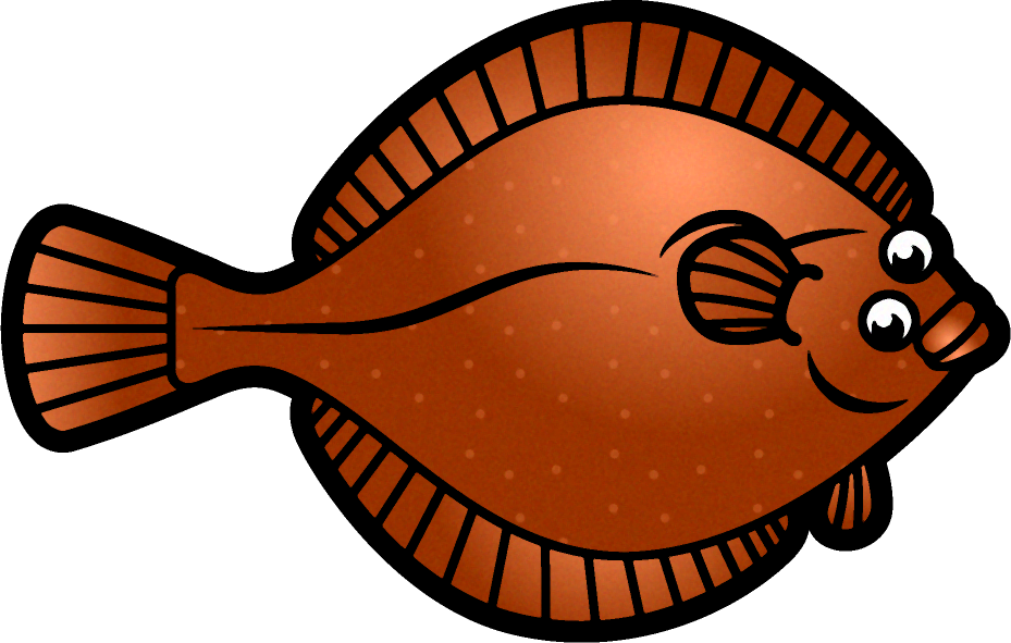 カレイのイラスト