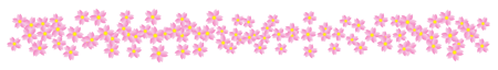 桜の花ライン・罫線イラスト/沢山
