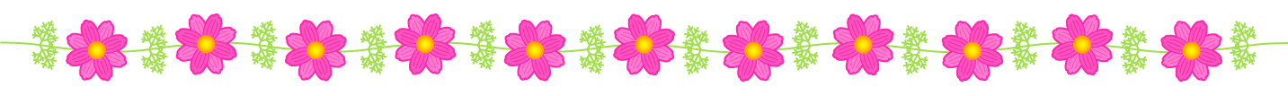 コスモスの花のライン・罫線イラスト/ピンク色