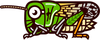 トノサマバッタのイラスト