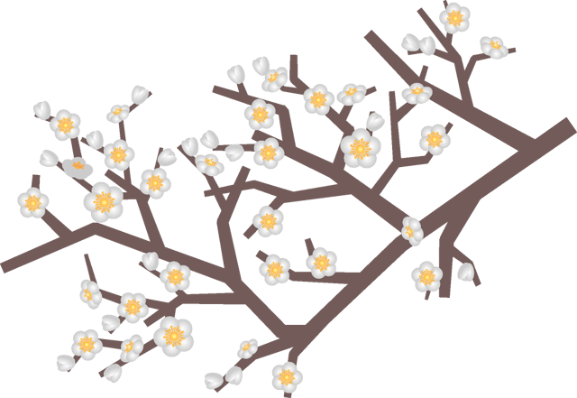 白い梅の花イラスト