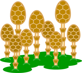 筑紫の群生イラスト