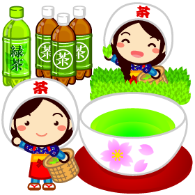 八十八夜 茶摘み