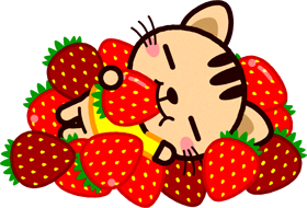 たくさんの苺に囲まれ大満足のトラネコのイラスト