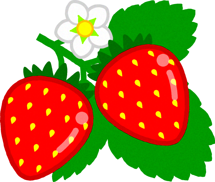 苺狩りの苺イラスト