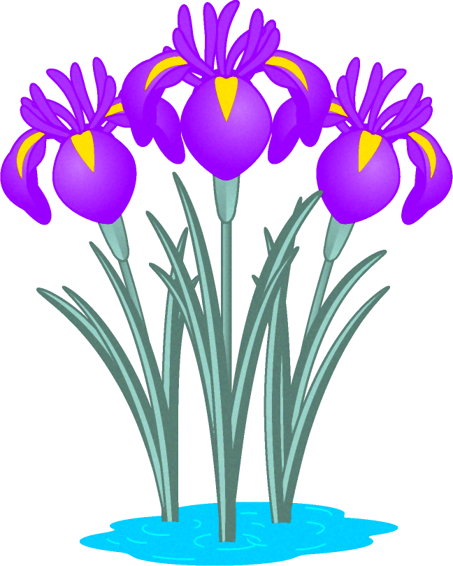 花菖蒲の花イラスト