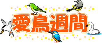 愛鳥週間の文字イラスト/野鳥2