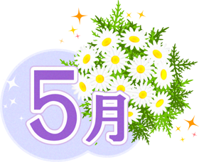 5月の文字とマーガレットのイラスト