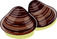 貝イラスト