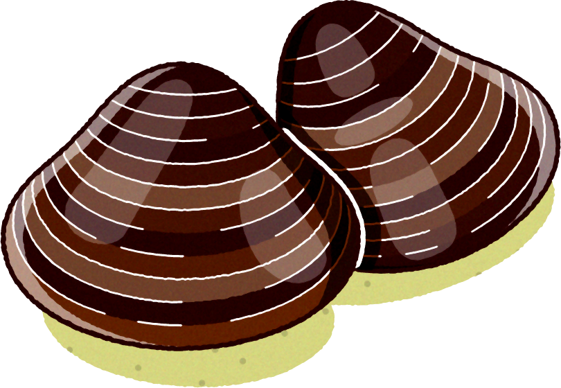 貝イラスト